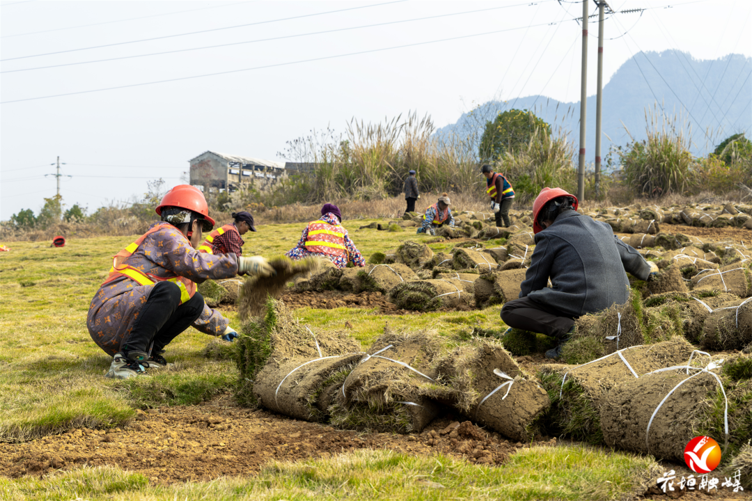 凯迪科技司徽有奖征集